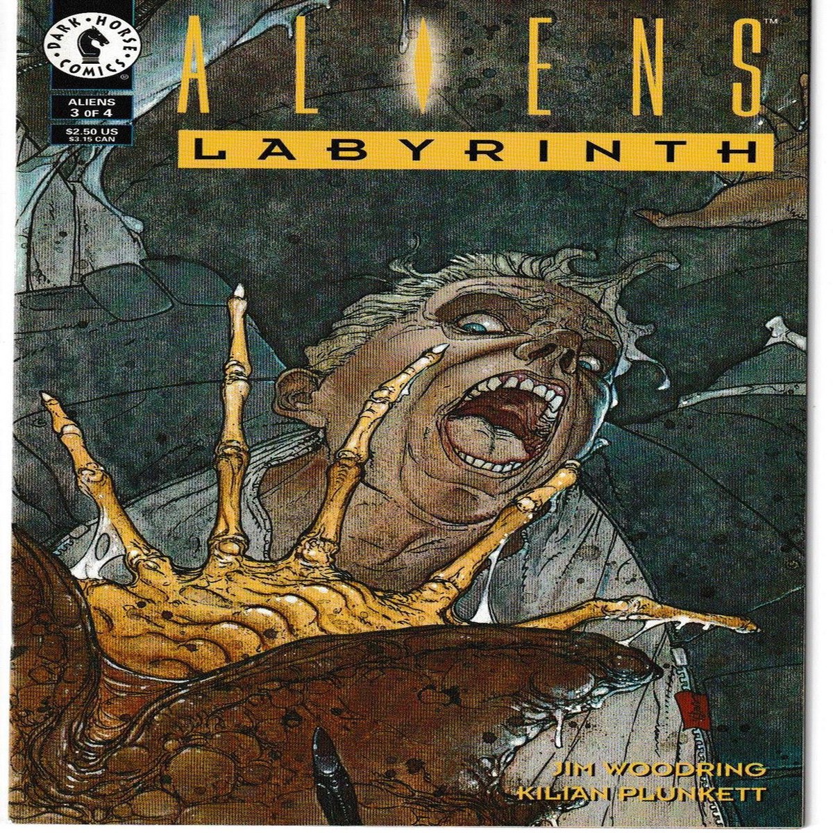 ALIENS LABYRINTH #3 (DARK HORSE 1993) C2