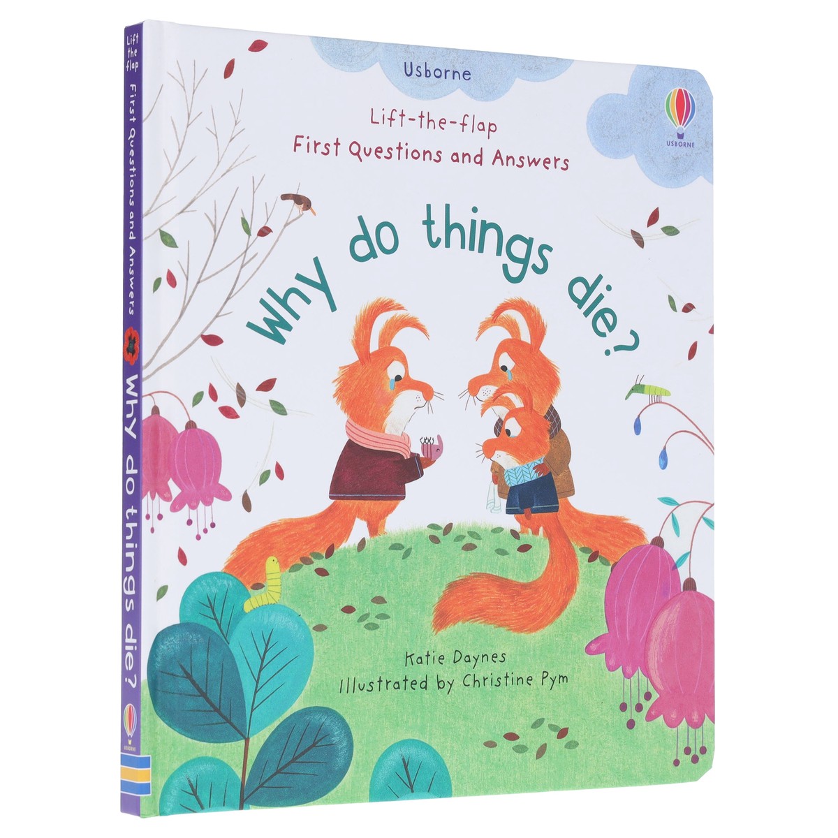 Why Do Things Die? (Usborne: Lift the Flap First Questions & Answers) - Ages 4+ - Board Book