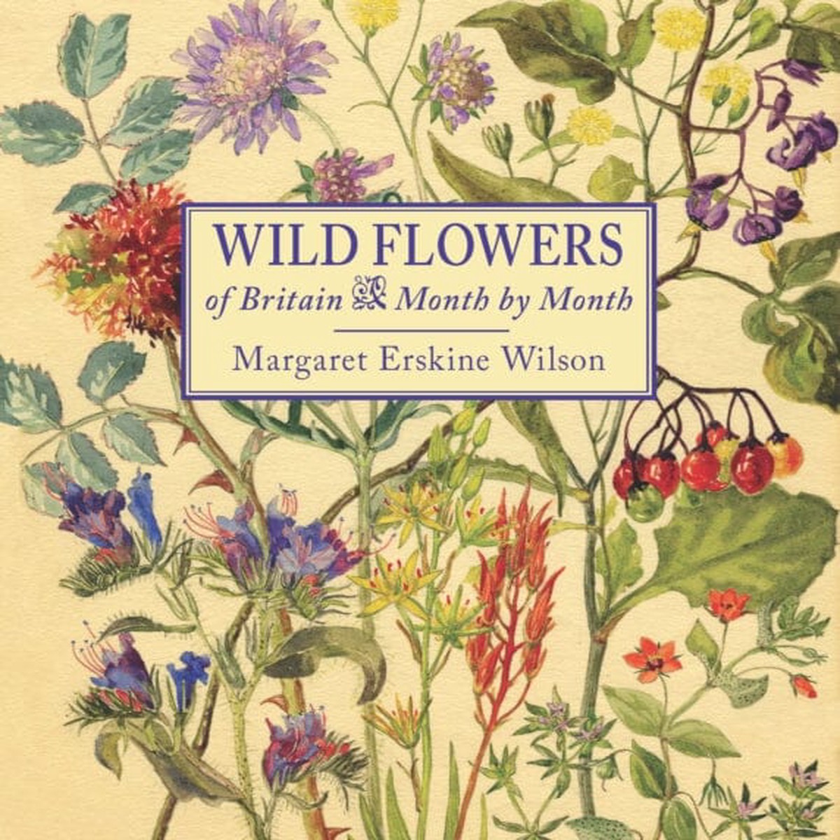 Wild Flowers of Britain: Month by Month by Margaret Erskine Wilson