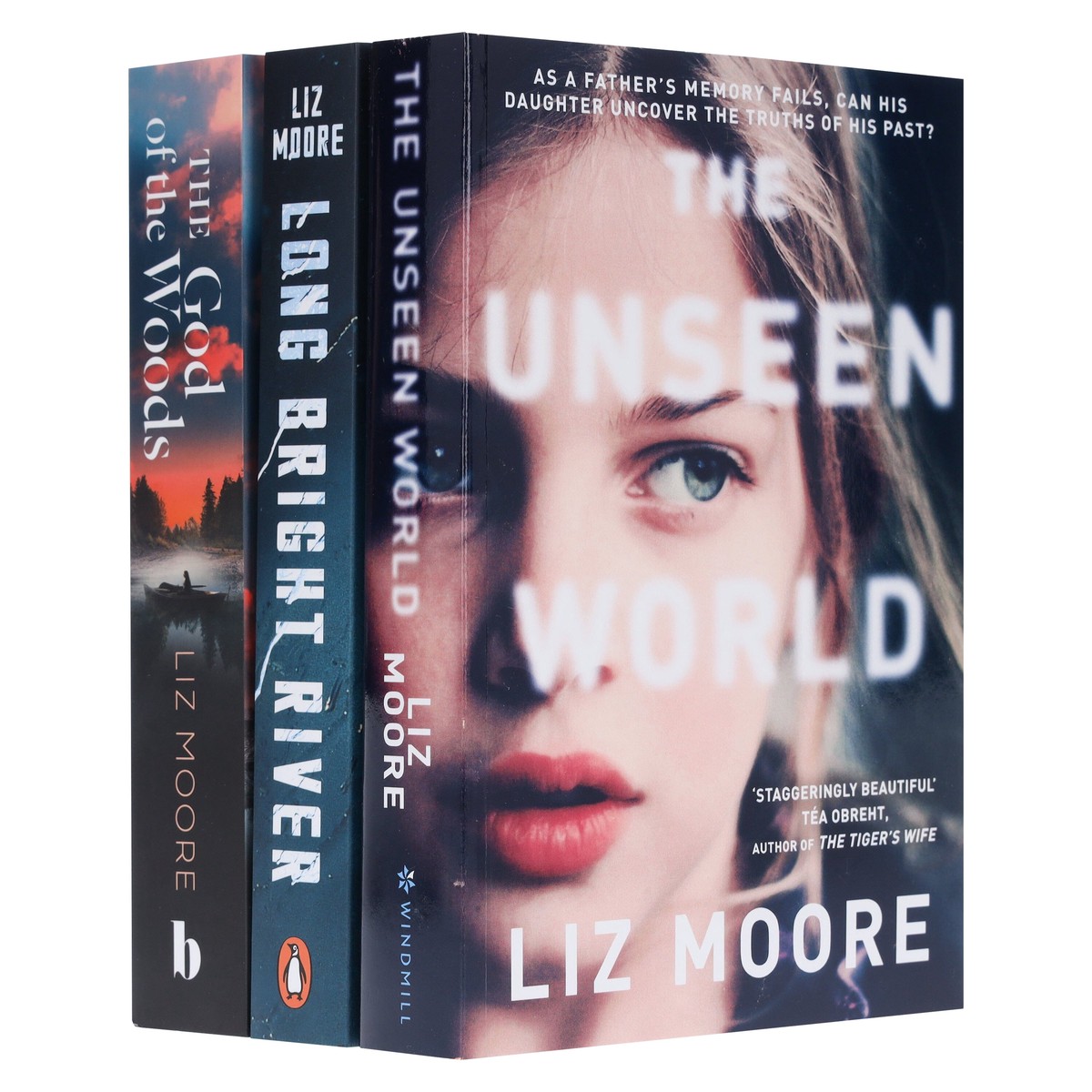 Liz Moore Collection 3 Books Set - Fiction - Paperback