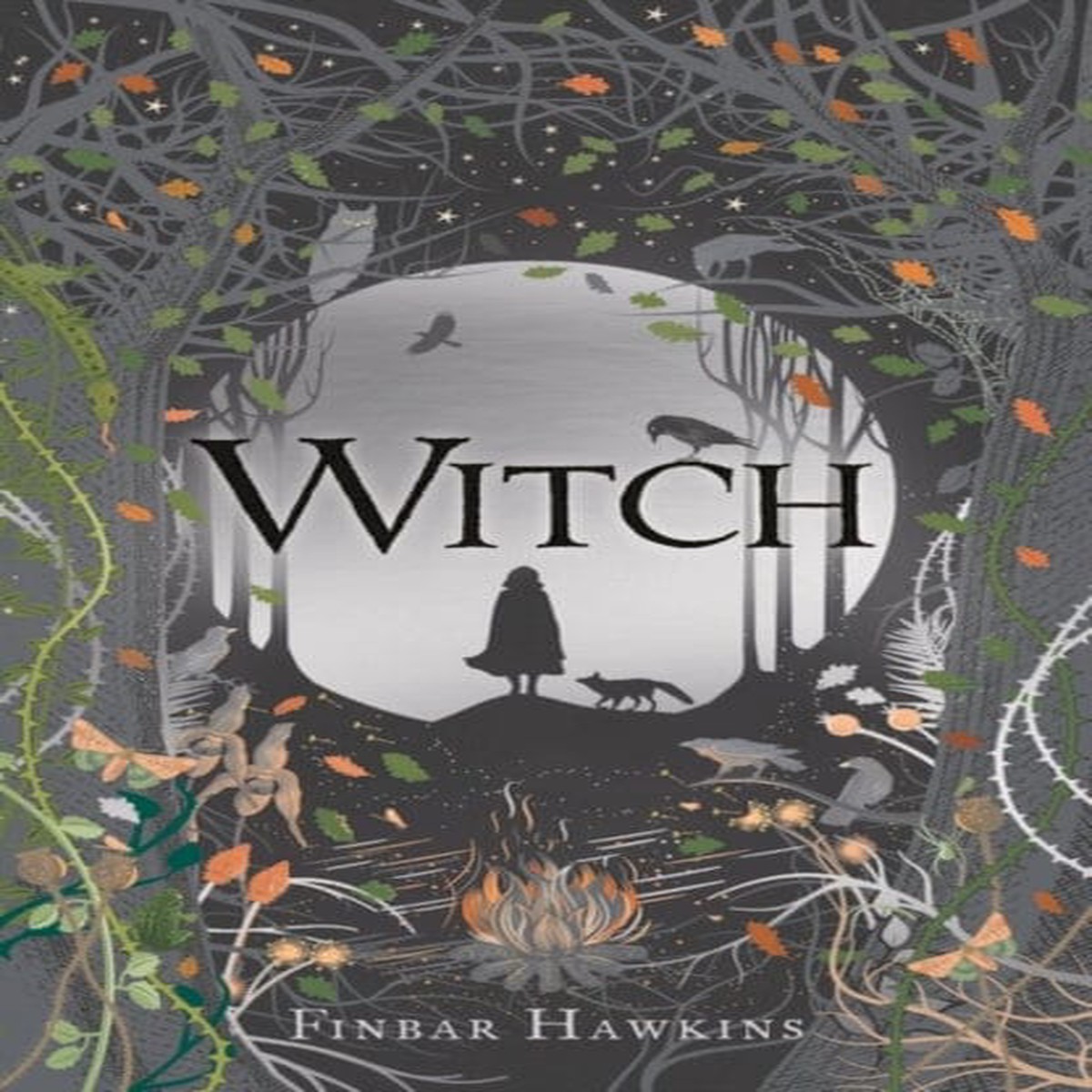 Witch by Finbar Hawkins