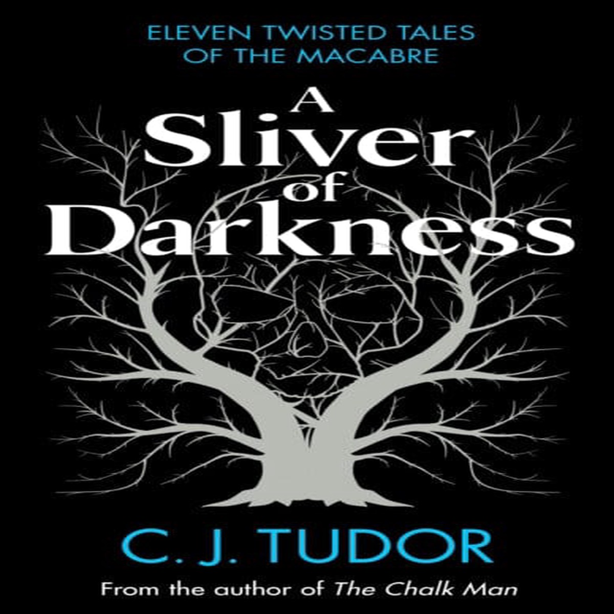 A Sliver of Darkness by C. J. Tudor