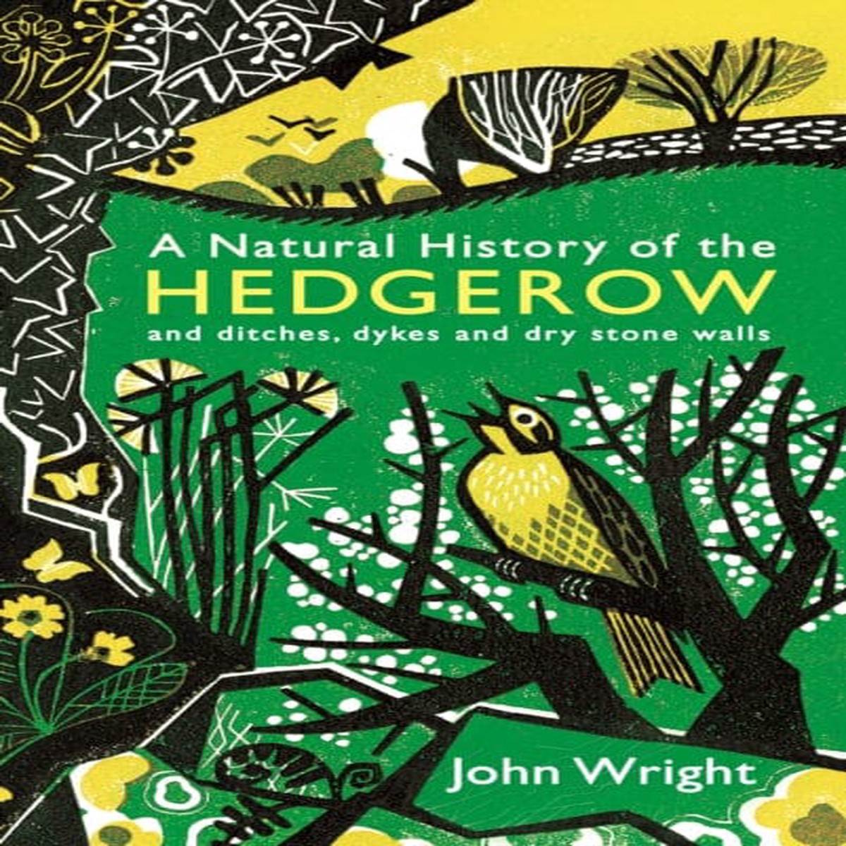 A Natural History of the Hedgerow: and ditches, dykes and dry stone walls by John Wright