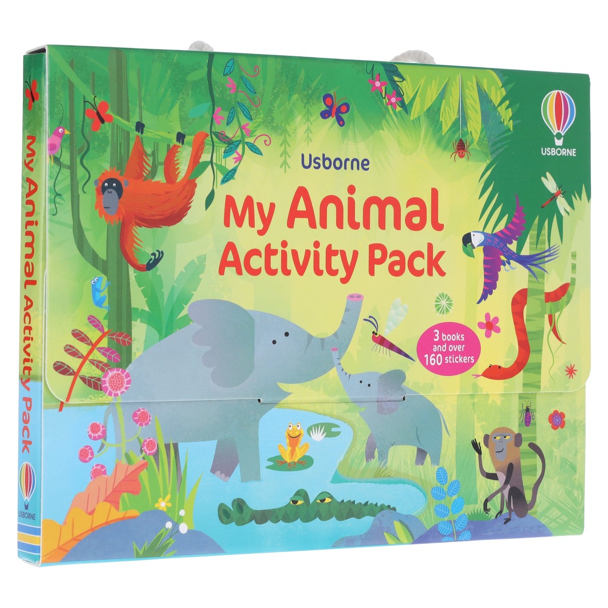 Usborne: My Animal Activity Pack 3 Books Box Set and Over 160 Stickers - Ages 3+ - Paperback