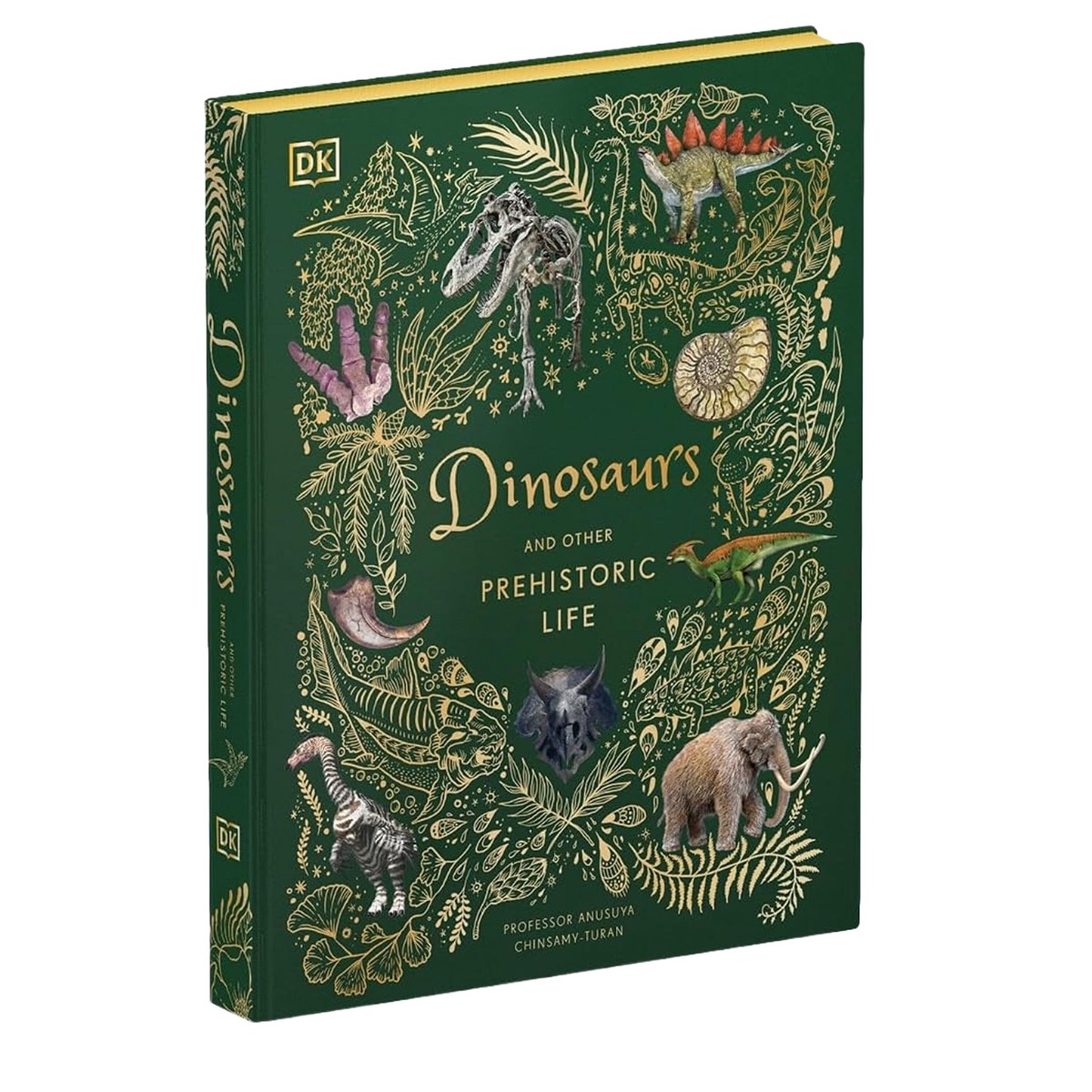 Dinosaurs and Other Prehistoric Life (DK Children's Anthologies) by Prof Anusuya Chinsamy-Turan - Ages 6+ - Hardback
