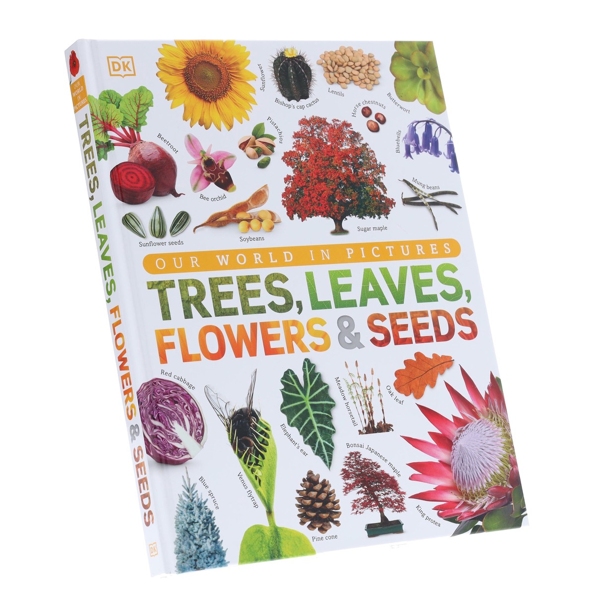 Our World in Pictures: Trees, Leaves, Flowers & Seeds: A visual encyclopedia of the plant kingdom by DK - Non Fiction - Hardback